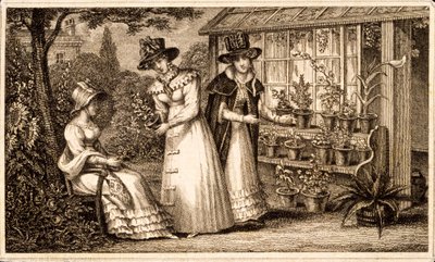 Three Ladies Gardening by The Potting Shed by English School